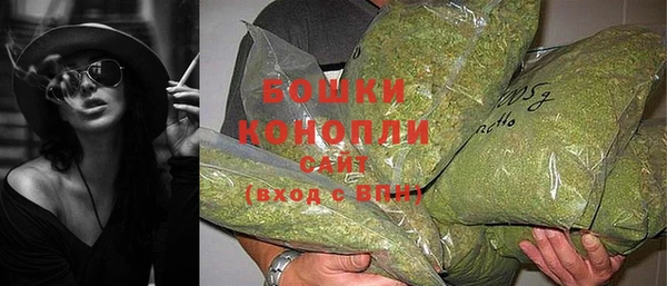 индика Зерноград