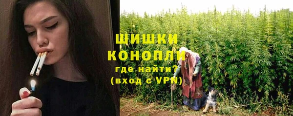 альфа пвп Снежногорск